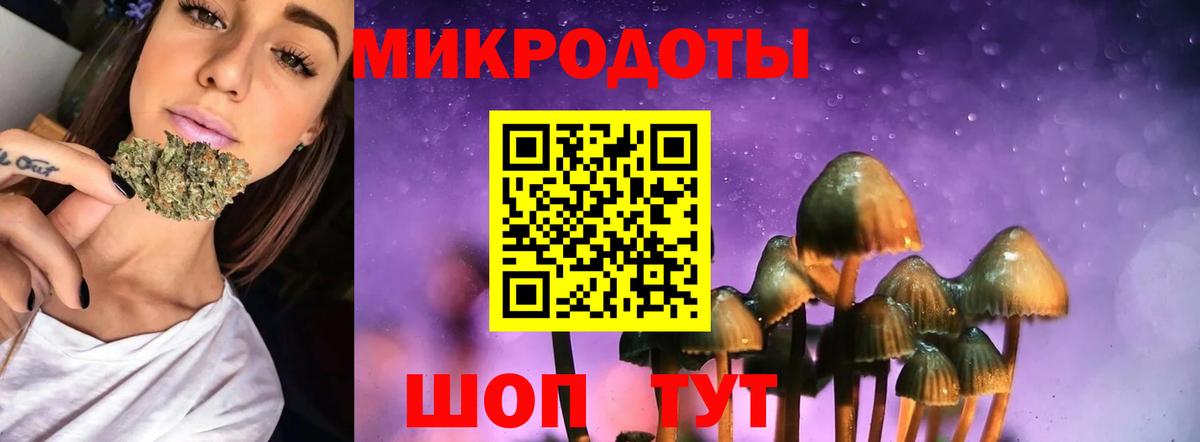 Галлюциногенные грибы MAGIC MUSHROOMS Дмитров